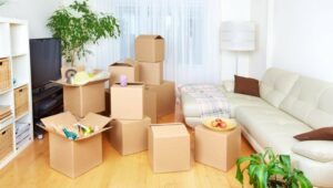 Packers and Movers Baner Pune